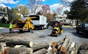 Best Commercial Tree Services  in Chebanse, IL