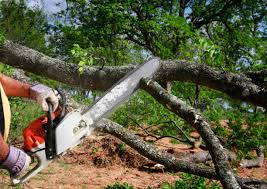 Best Lot and Land Clearing  in Chebanse, IL